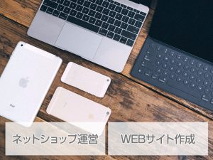 WEB推進事業