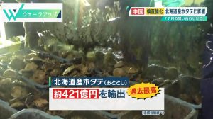 読売テレビ ウェークアップで放送されました