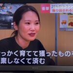 2025.7.8 HBC様から取材を受けました